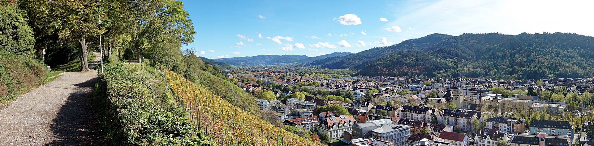 Freiburg im Breisgau - Reise buchen