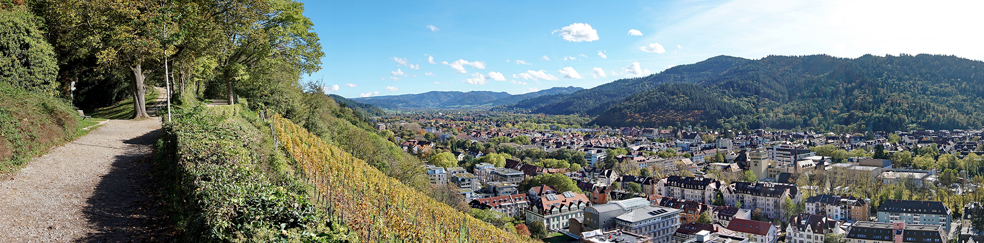 Busreisen Freiburg im Breisgau buchen