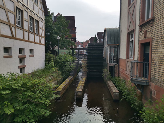 Mit dem Bus ab  buchen
