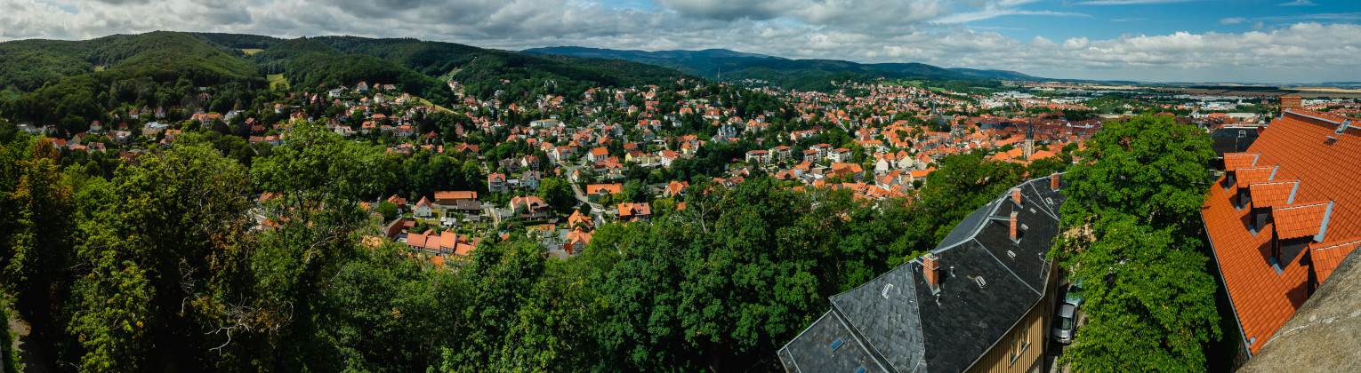 Mit dem Bus ab  buchen